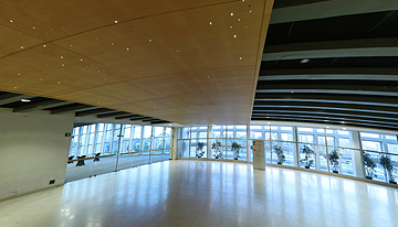 Galerie Supérieure